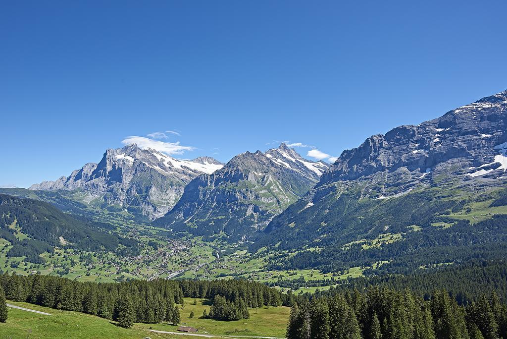 Aspen Alpine Lifestyle Hotel Гриндельвальд Экстерьер фото