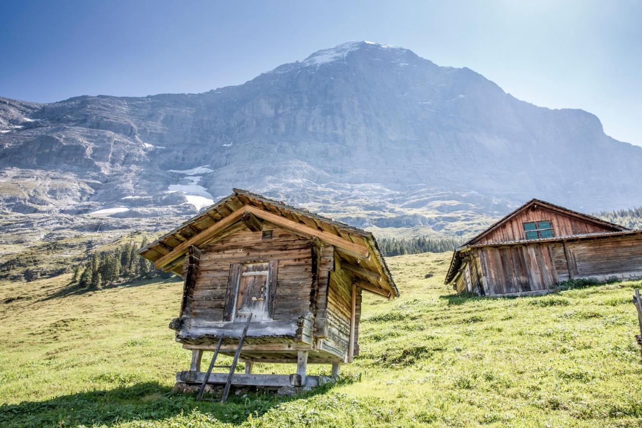 Aspen Alpine Lifestyle Hotel Гриндельвальд Экстерьер фото